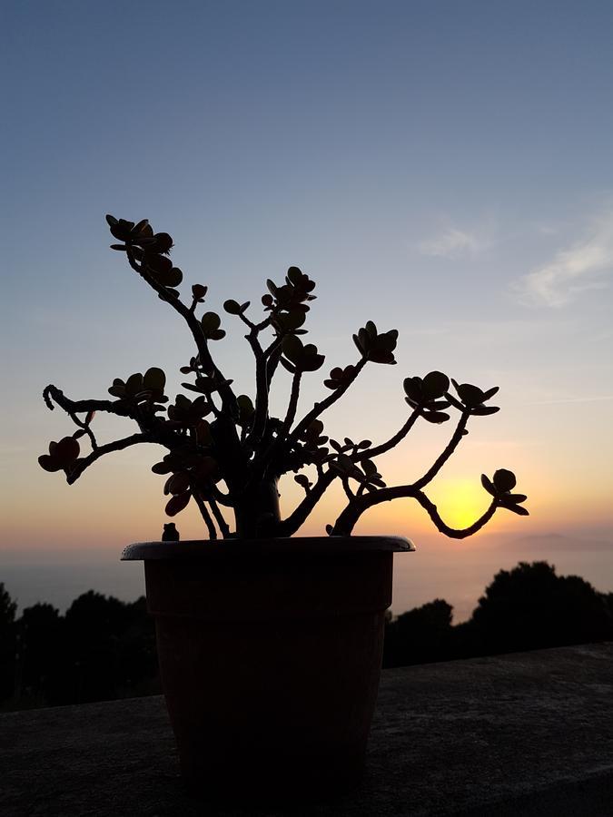 Il Rifugio B&B Capri Anacapri  Bagian luar foto