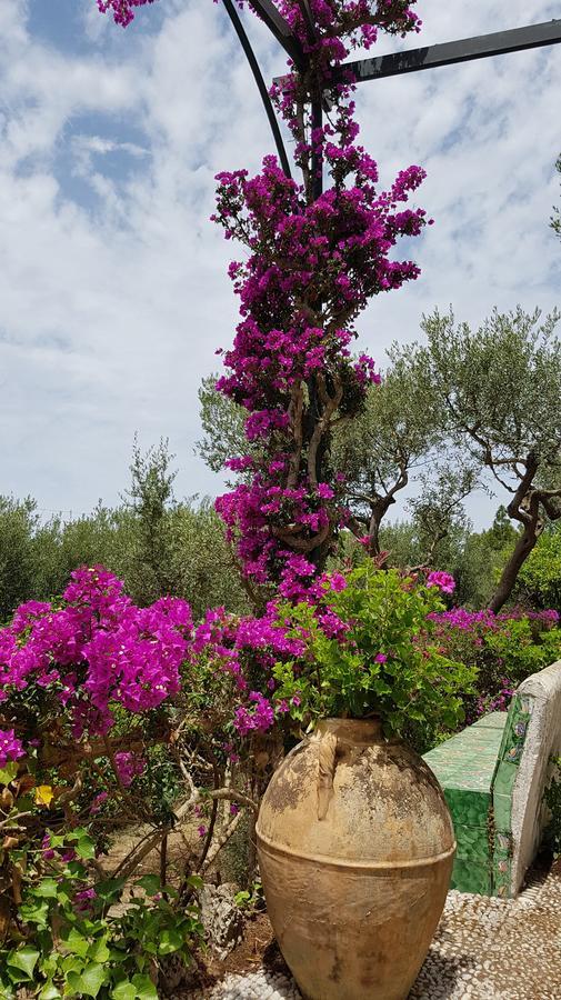 Il Rifugio B&B Capri Anacapri  Bagian luar foto