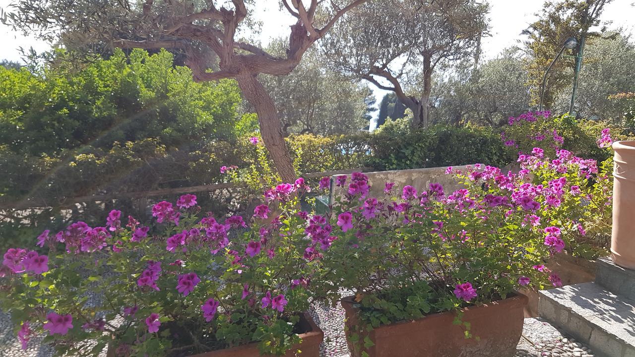 Il Rifugio B&B Capri Anacapri  Bagian luar foto